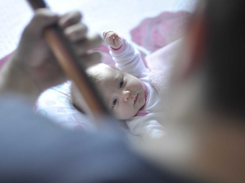 素材方舟<br>4K 无水印资源批量下载